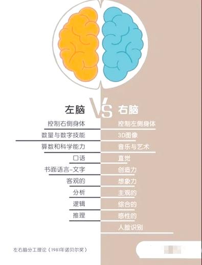 正常人的智商是多少缩略图