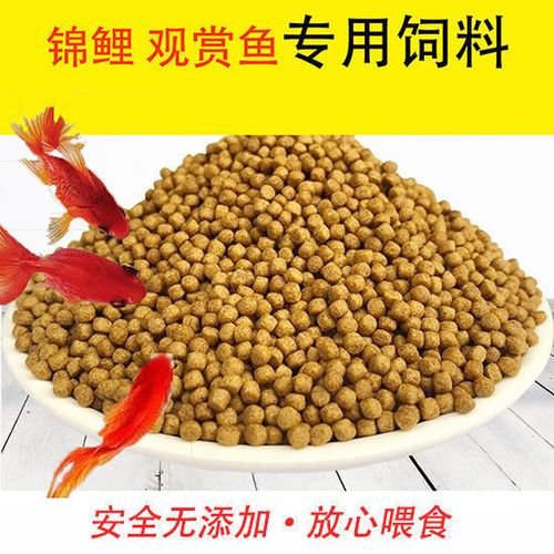 家养锦鲤喂什么饲料好截图