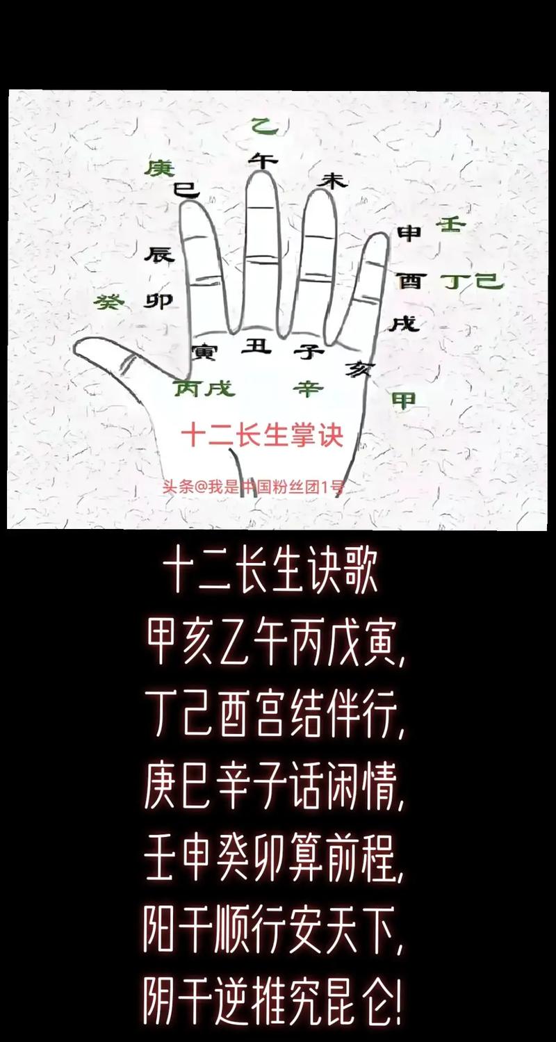 十二长生掌诀图图标