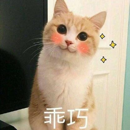 乖巧表情包游戏截图