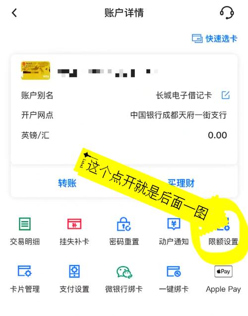 银行卡开通认证支付步骤截图