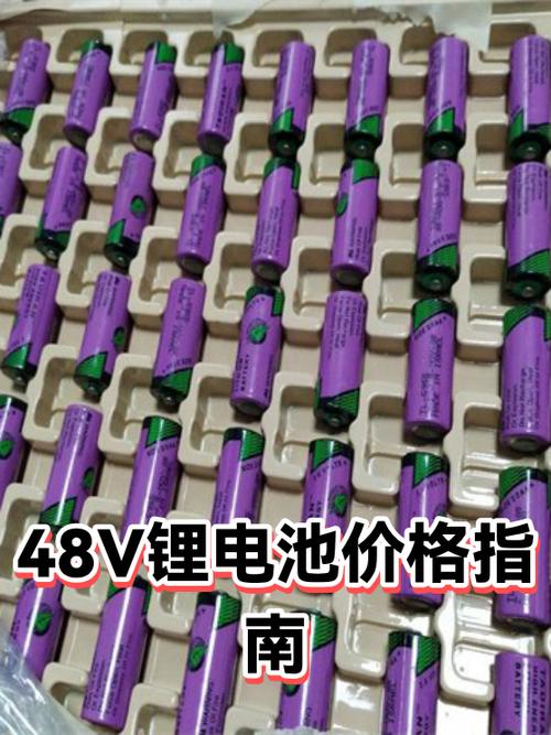48伏锂电池价格表缩略图