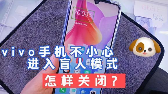 vivo手机盲人模式开启方法游戏截图