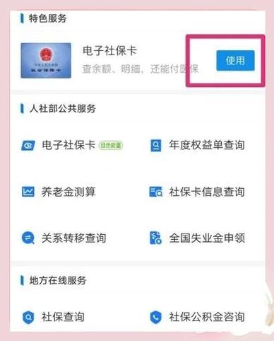 社保能取出来吗游戏截图
