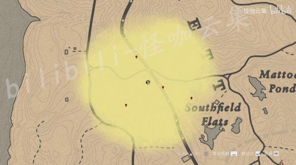 荒野大镖客2全藏宝图缩略图