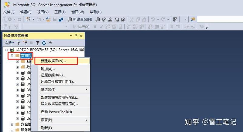 SQL server查询生成web截图
