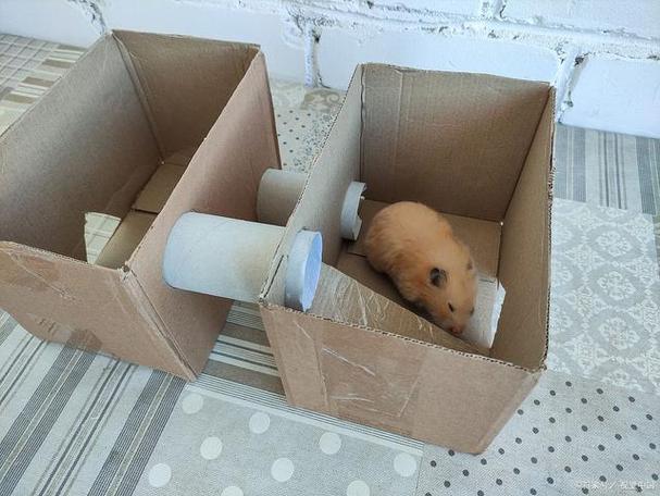 仓鼠屋子手工制作纸箱