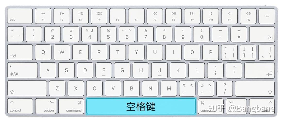 word文档空格键有点