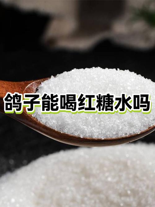 鸽子对糖尿病的功效截图