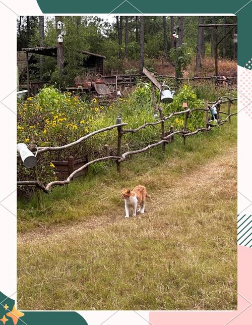 去澳洲农场打工能挣多少钱缩略图