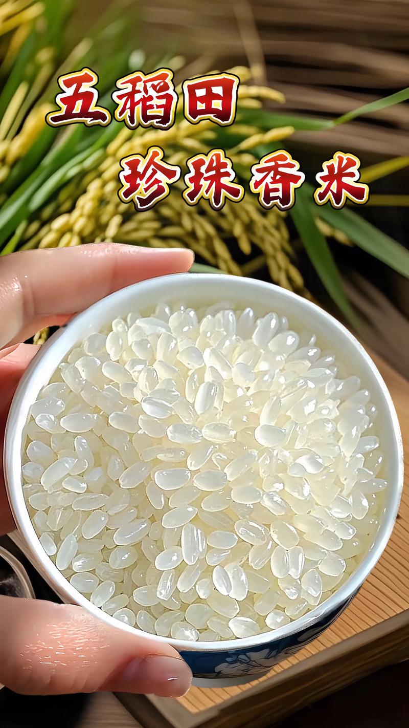小米粒大好还是粒小好?缩略图