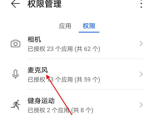 打开麦克风权限在哪里