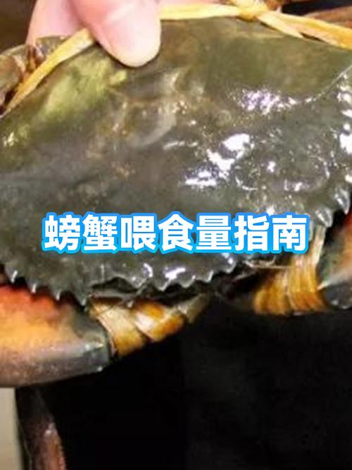 经期时可以吃螃蟹吗截图