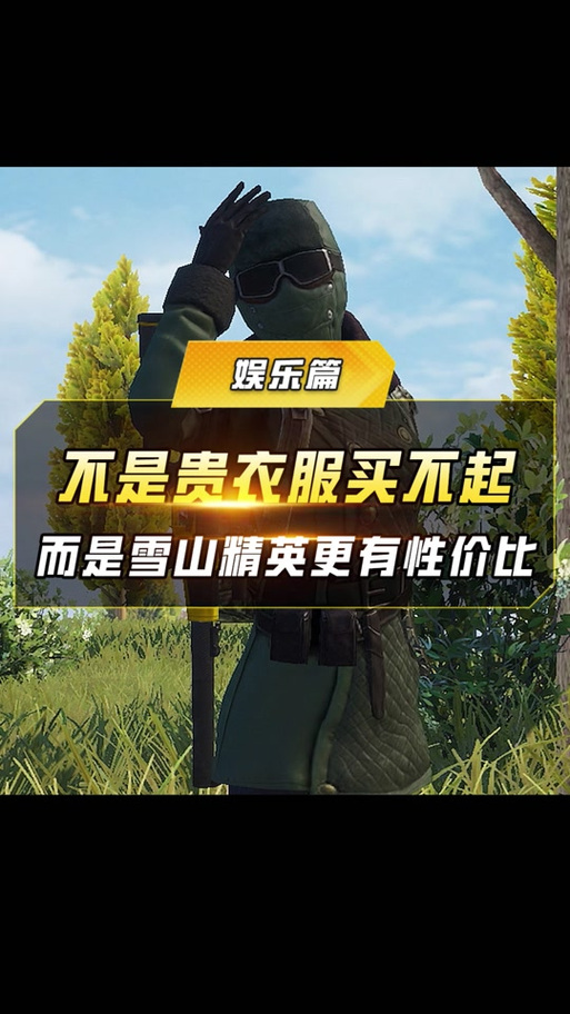 和平精英雪地衣服缩略图