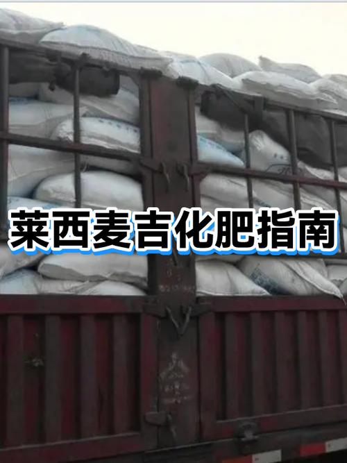 手机麦克风一会好一会坏缩略图
