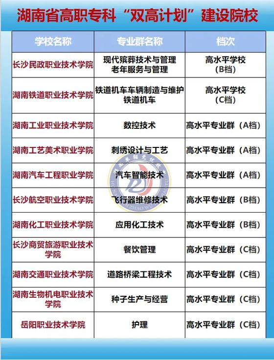 双高计划的大专有哪些截图