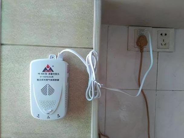天然报警器突然一直响