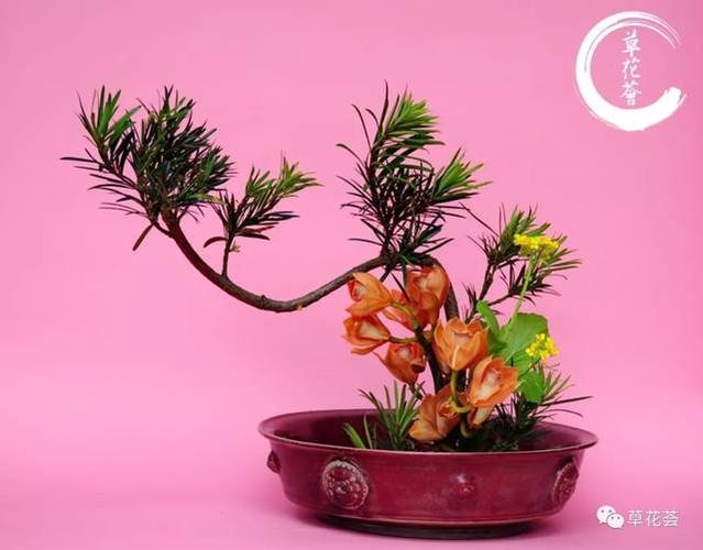 当苏和瓷唱《佛前愿》缩略图