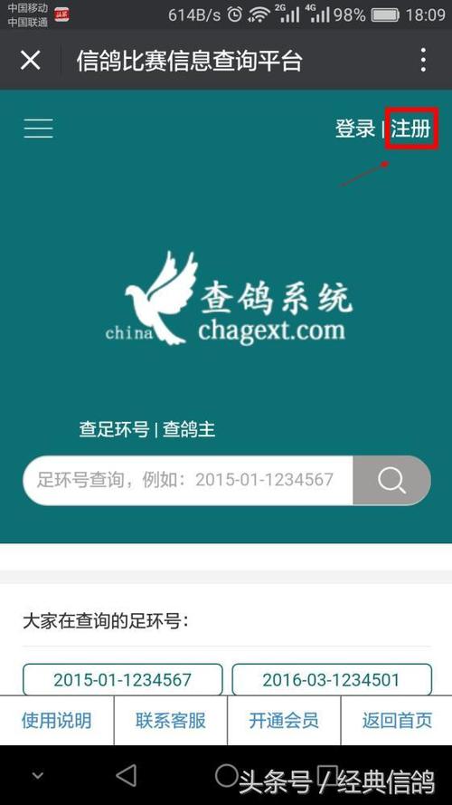 鸽查询成绩查询系统