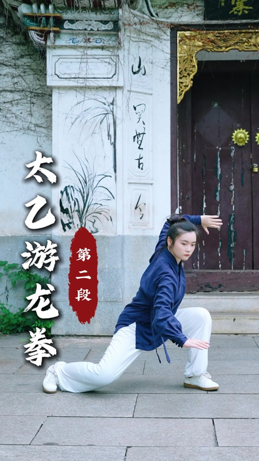 游龙拳60式口诀拳谱截图