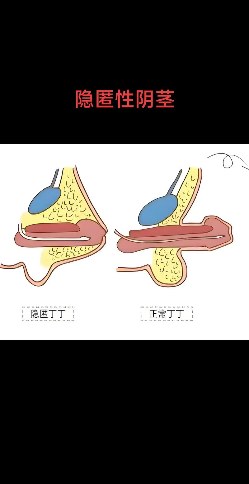 华为手机隐藏应用使用方法缩略图