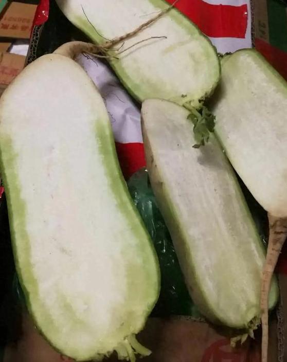 保卫萝卜3账号没了截图