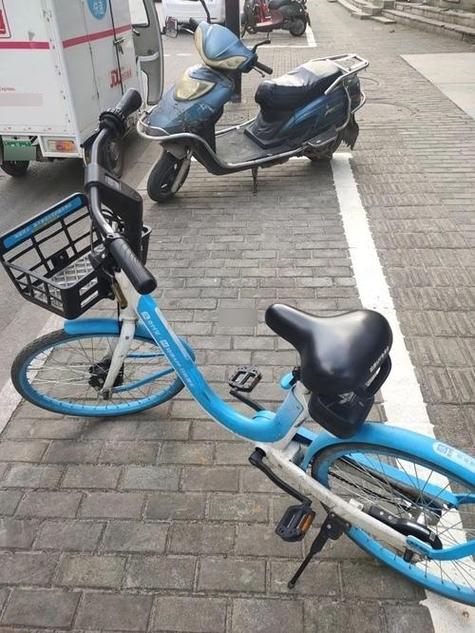 哈啰历史版本大全游戏截图