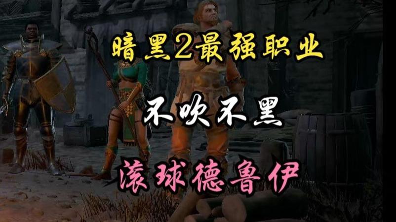 暗黑2重制版强力职业截图
