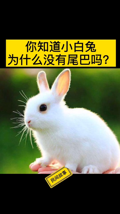 尾巴短短是什么生肖图标