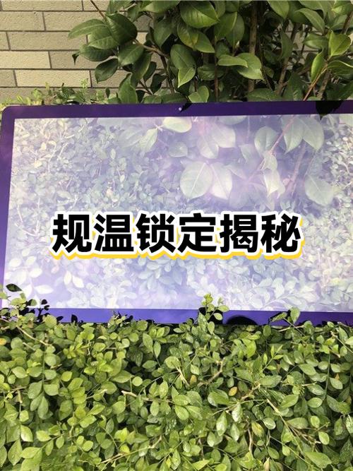 机顶盒为何被锁定