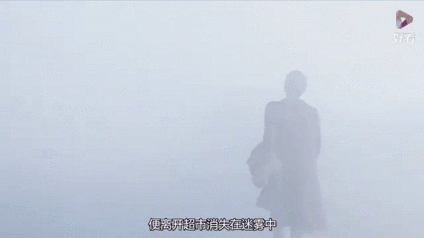 迷雾2截图