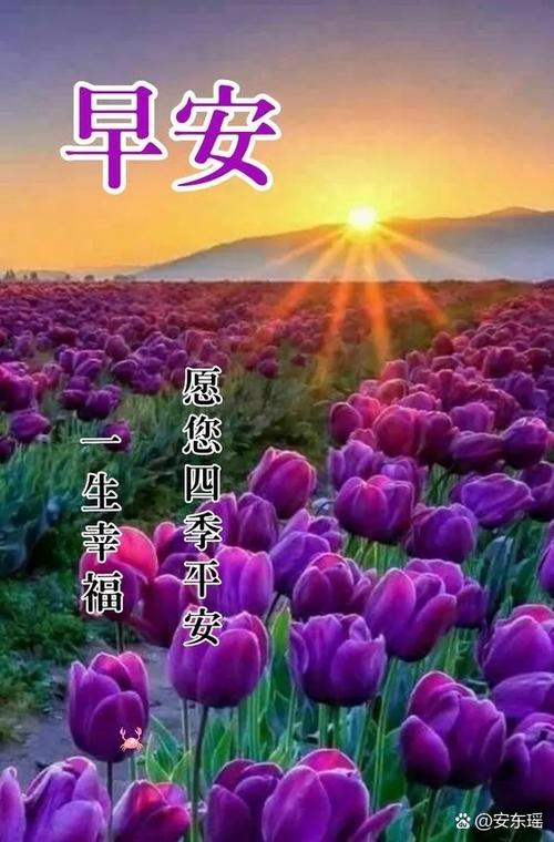 聊天交友的软件