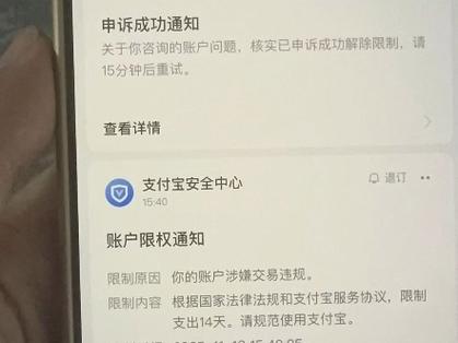 支付宝支付受限要多久游戏截图