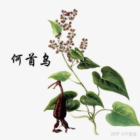 小鸟1“邪,你送鸟儿回公寓好么?”温截图