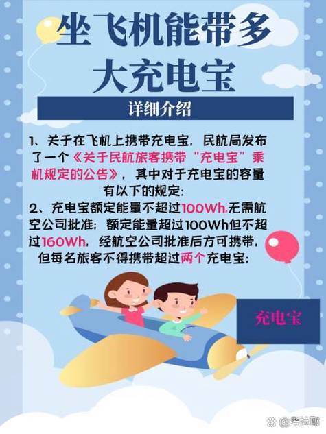飞机可携带多大充电宝