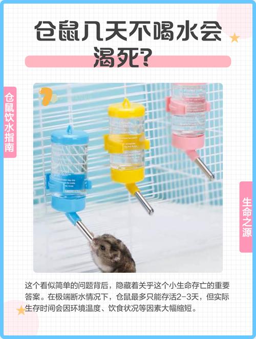仓鼠不吃不喝几天会死