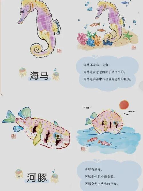 红鱼是淡水鱼还是海水鱼截图