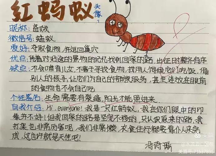 蚂蚁全文阅读