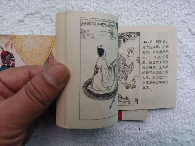 玉娇龙阅读全文缩略图