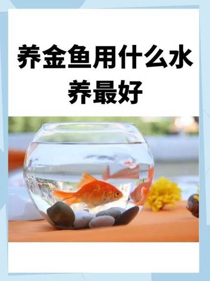 金鱼喜欢老水还是新水缩略图
