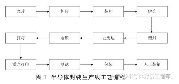 永久装片和临时装片的区别截图