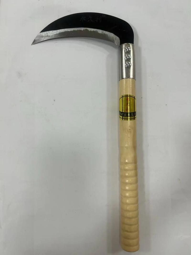 镰刀龙