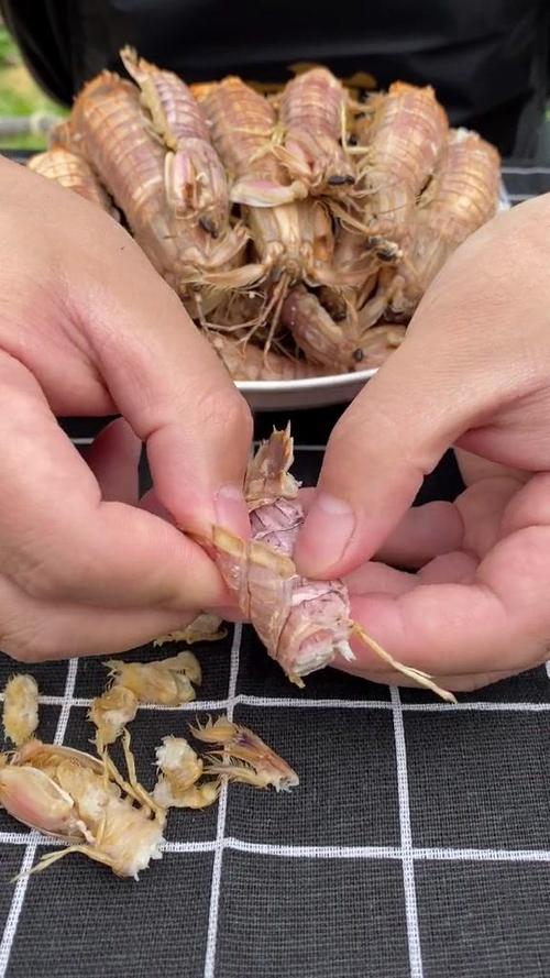 皮皮虾去广告视频教程图标