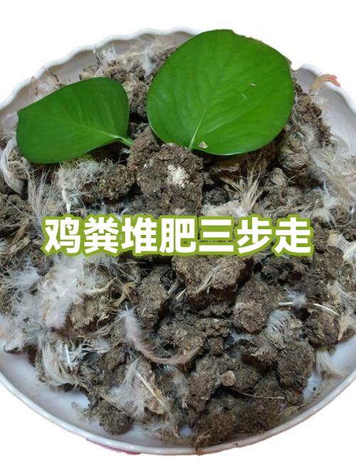 堆肥的制作方法图标