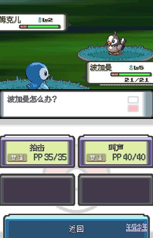 口袋妖怪nds下载图标