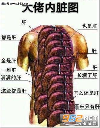 大佬肝脏图表情包