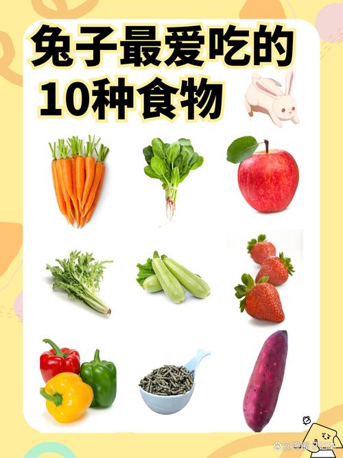 兔子最喜欢吃的10种食物游戏截图