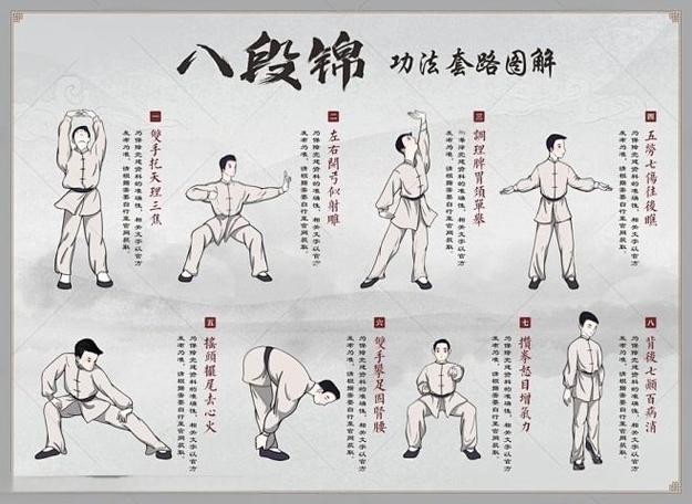 太极八段锦教学视频(八段锦动作讲解)截图