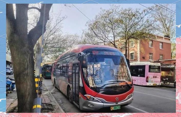 洛阳市公交老年卡优惠政策截图