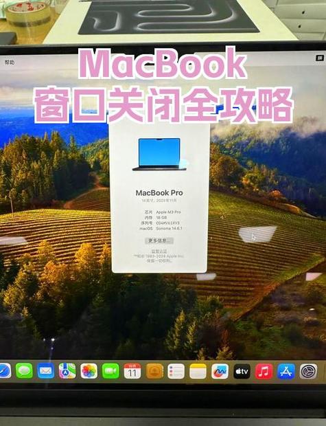 苹果左上角模糊怎么关闭截图